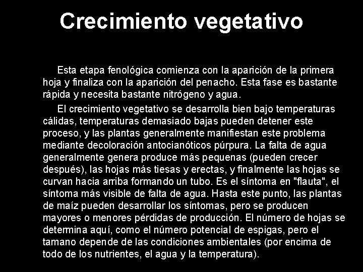 Crecimiento vegetativo Esta etapa fenológica comienza con la aparición de la primera hoja y