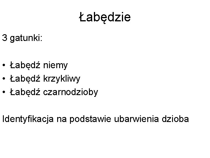 Łabędzie 3 gatunki: • Łabędź niemy • Łabędź krzykliwy • Łabędź czarnodzioby Identyfikacja na