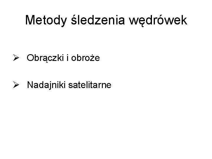 Metody śledzenia wędrówek Ø Obrączki i obroże Ø Nadajniki satelitarne 