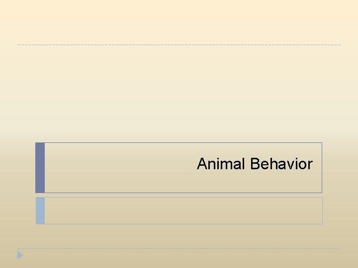 Animal Behavior 