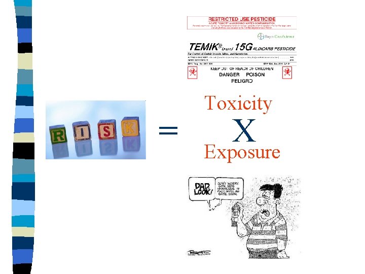 = Toxicity X Exposure 