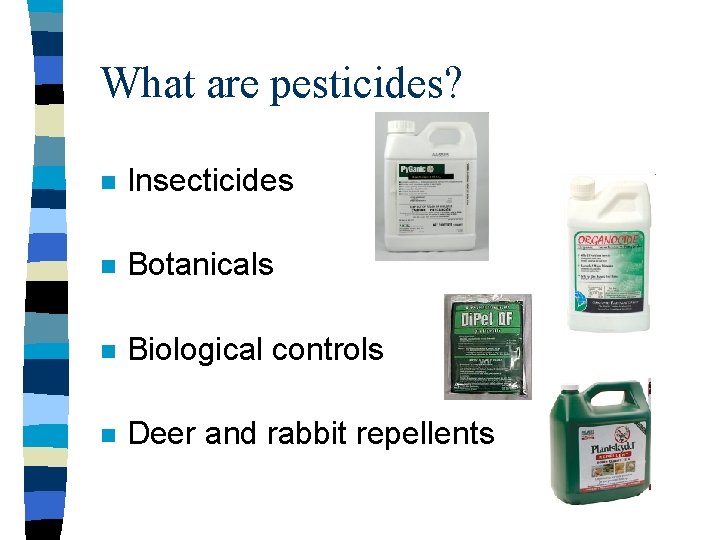 What are pesticides? n Insecticides n Botanicals n Biological controls n Deer and rabbit