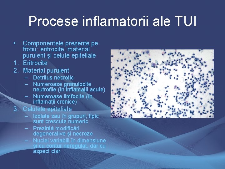 Procese inflamatorii ale TUI • Componentele prezente pe frotiu: eritrocite, material purulent şi celule Procese inflamatorii ale TUI • Componentele prezente pe frotiu: eritrocite, material purulent şi celule