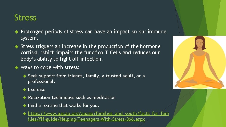 The Impact of Lifestyle Choices on Human Immune