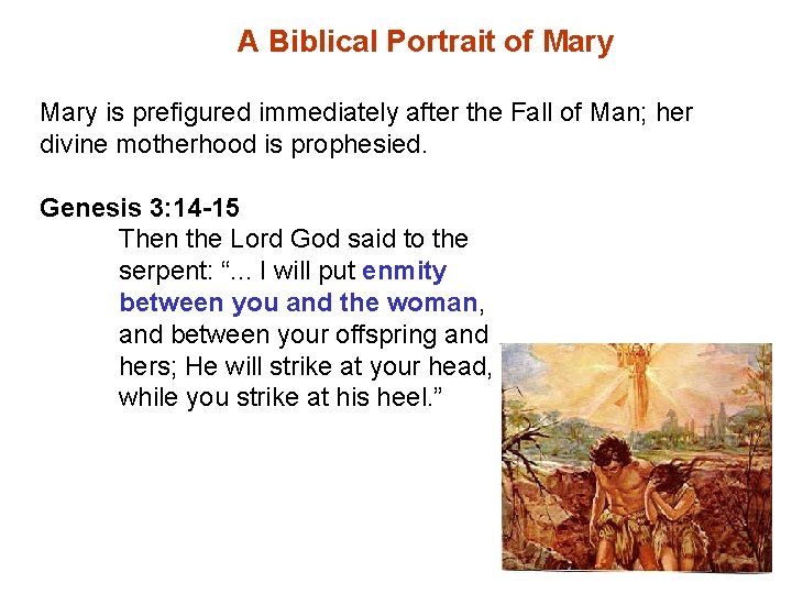 A Biblical Portrait of Mary is prefigured immediately after the Fall of Man; her