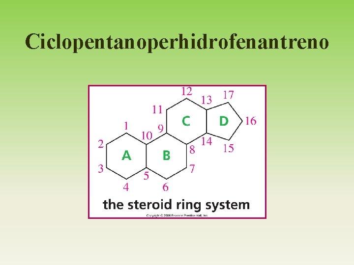 Maneras súper fáciles y sencillas que utilizan los profesionales para promocionar esteroides naturales en los alimentos