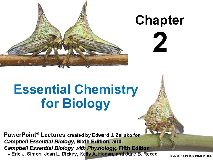 Chapter 2 Essential Chemistry for Biology Power. Point® Lectures created by Edward J. Zalisko