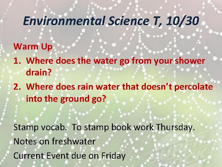 Environmental Science T, 10/30 Warm Up 1. Where does the water go from your