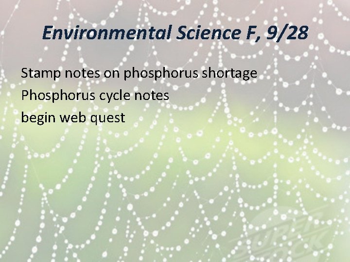 Environmental Science F, 9/28 Stamp notes on phosphorus shortage Phosphorus cycle notes begin web