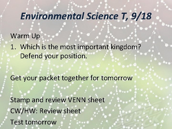 Environmental Science T, 9/18 Warm Up 1. Which is the most important kingdom? Defend