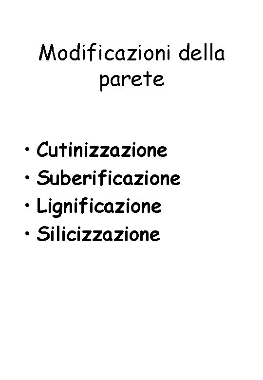 Modificazioni della parete • Cutinizzazione • Suberificazione • Lignificazione • Silicizzazione 