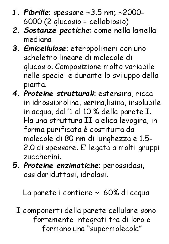 1. Fibrille: spessore ~3. 5 nm; ~20006000 (2 glucosio = cellobiosio) 2. Sostanze pectiche: