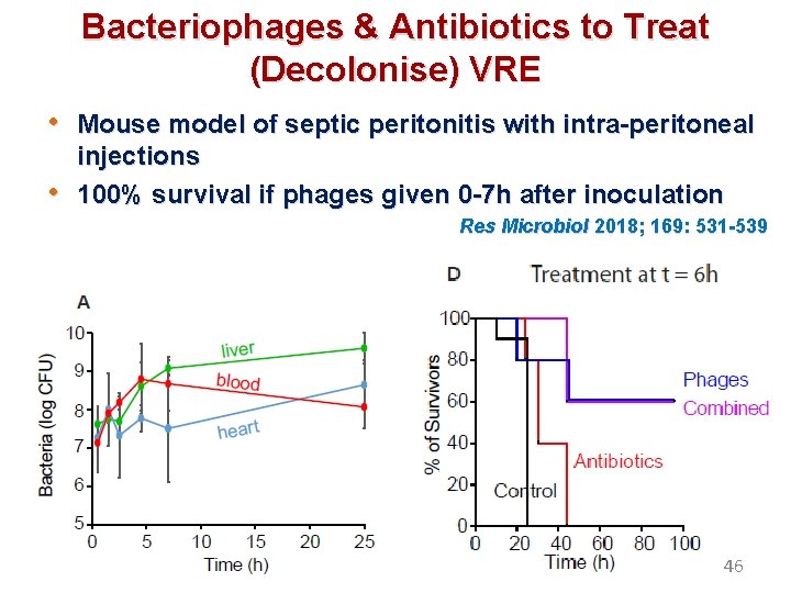 Bacteriophages & Antibiotics to Treat (Decolonise) VRE • Mouse model of septic peritonitis with