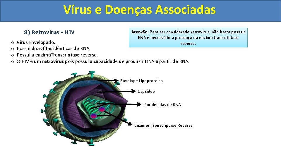 Vírus e Doenças Associadas 8) Retrovírus - HIV o o Atenção: Para ser considerado