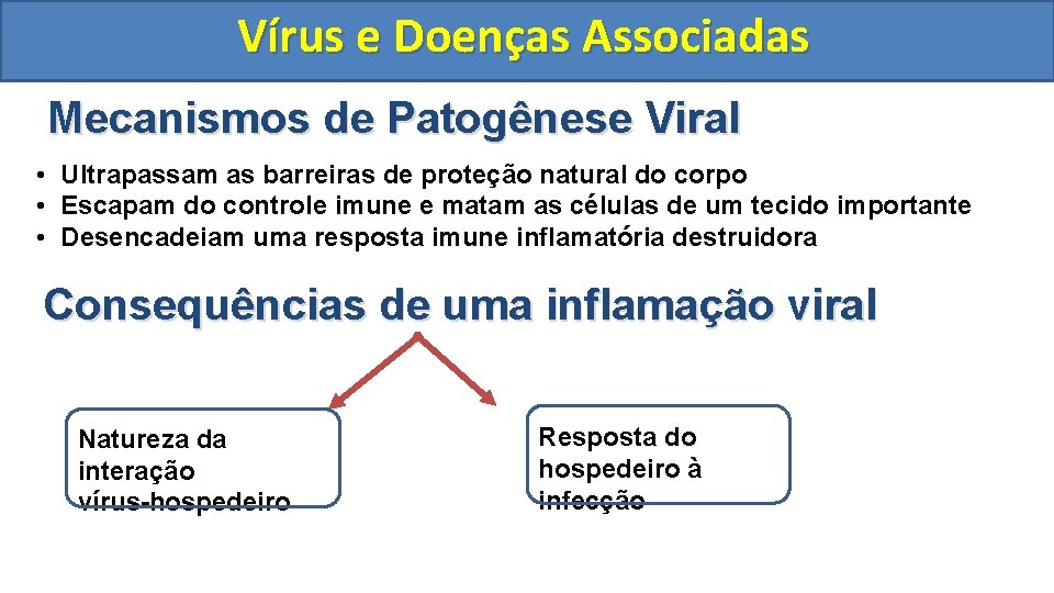 Vírus e Doenças Associadas Mecanismos de Patogênese Viral • Ultrapassam as barreiras de proteção