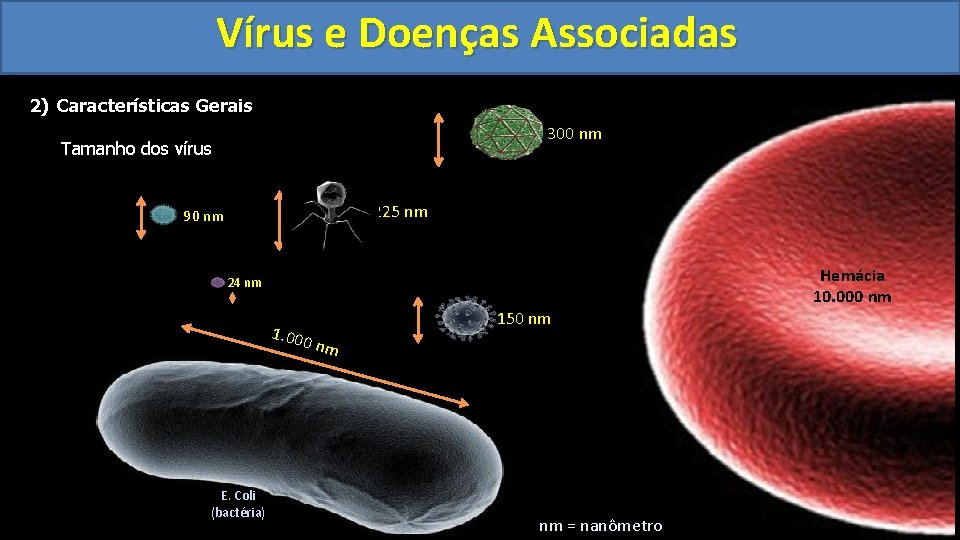 Vírus e Doenças Associadas 2) Características Gerais 300 nm Tamanho dos vírus 225 nm