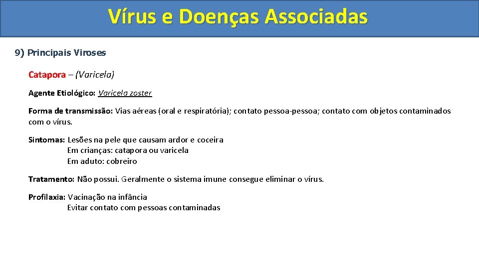 Vírus e Doenças Associadas 9) Principais Viroses Catapora – (Varicela) Agente Etiológico: Varicela zoster