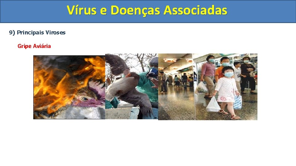 Vírus e Doenças Associadas 9) Principais Viroses Gripe Aviária 