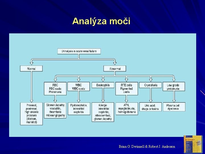 Analýza moči Brian G. Dwinnell & Robert J. Anderson 