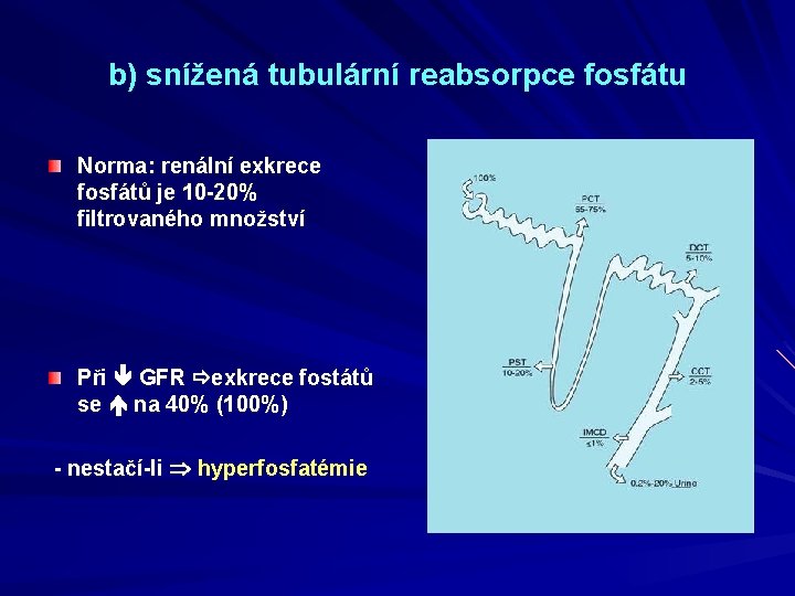 b) snížená tubulární reabsorpce fosfátu Norma: renální exkrece fosfátů je 10 -20% filtrovaného množství
