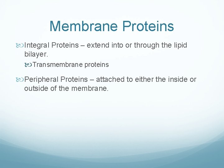 Membrane Proteins Integral Proteins – extend into or through the lipid bilayer. Transmembrane proteins Membrane Proteins Integral Proteins – extend into or through the lipid bilayer. Transmembrane proteins