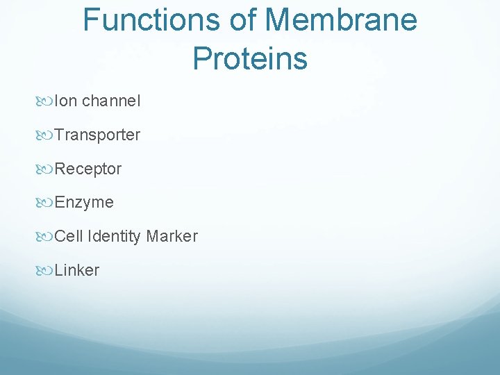 Functions of Membrane Proteins Ion channel Transporter Receptor Enzyme Cell Identity Marker Linker Functions of Membrane Proteins Ion channel Transporter Receptor Enzyme Cell Identity Marker Linker