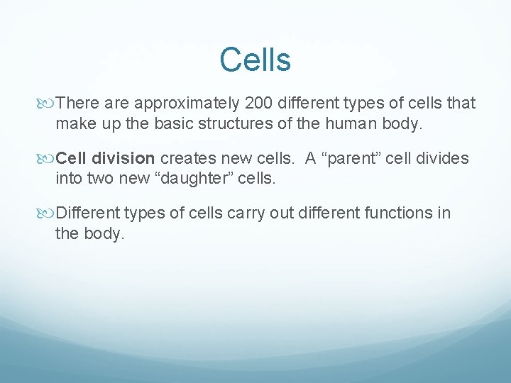 Cells There approximately 200 different types of cells that make up the basic structures Cells There approximately 200 different types of cells that make up the basic structures