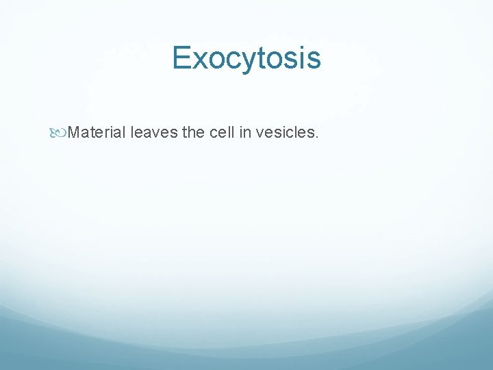 Exocytosis Material leaves the cell in vesicles. Exocytosis Material leaves the cell in vesicles.