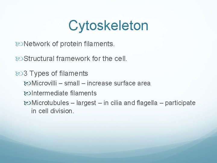 Cytoskeleton Network of protein filaments. Structural framework for the cell. 3 Types of filaments Cytoskeleton Network of protein filaments. Structural framework for the cell. 3 Types of filaments