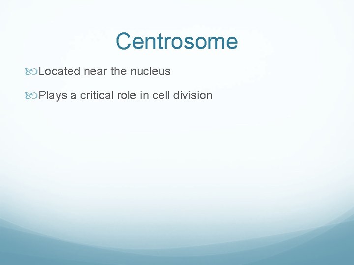 Centrosome Located near the nucleus Plays a critical role in cell division Centrosome Located near the nucleus Plays a critical role in cell division