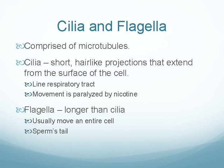 Cilia and Flagella Comprised of microtubules. Cilia – short, hairlike projections that extend from Cilia and Flagella Comprised of microtubules. Cilia – short, hairlike projections that extend from
