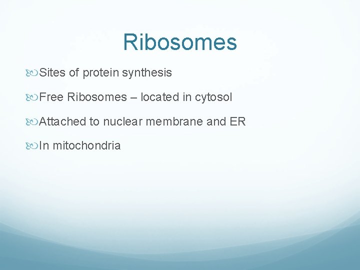 Ribosomes Sites of protein synthesis Free Ribosomes – located in cytosol Attached to nuclear Ribosomes Sites of protein synthesis Free Ribosomes – located in cytosol Attached to nuclear