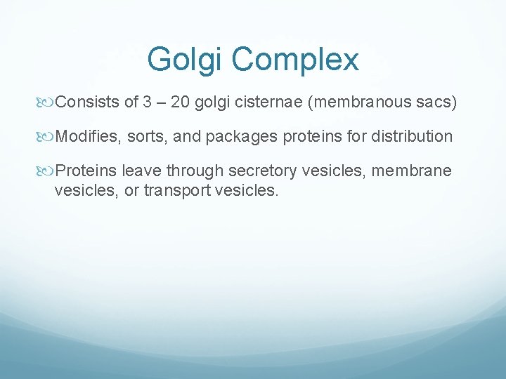 Golgi Complex Consists of 3 – 20 golgi cisternae (membranous sacs) Modifies, sorts, and Golgi Complex Consists of 3 – 20 golgi cisternae (membranous sacs) Modifies, sorts, and