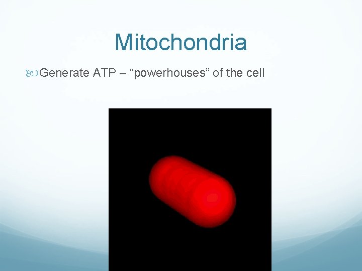 Mitochondria Generate ATP – “powerhouses” of the cell Mitochondria Generate ATP – “powerhouses” of the cell