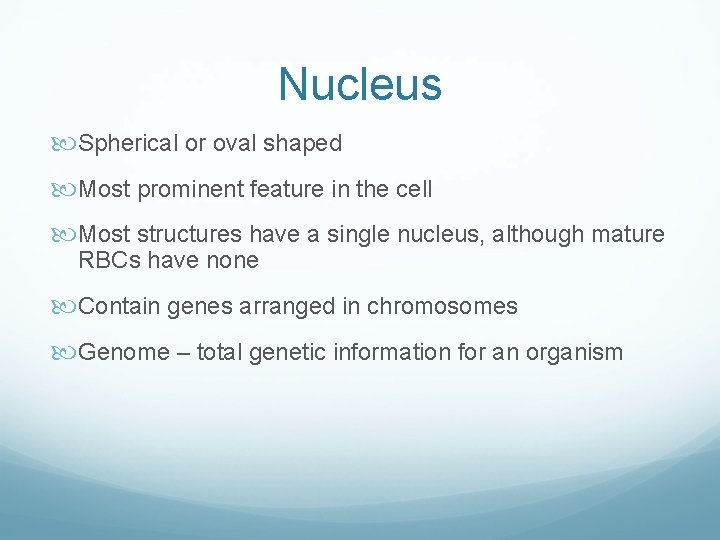 Nucleus Spherical or oval shaped Most prominent feature in the cell Most structures have Nucleus Spherical or oval shaped Most prominent feature in the cell Most structures have