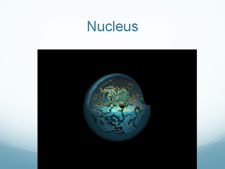Nucleus Nucleus