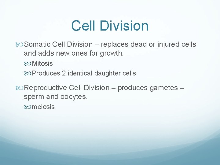 Cell Division Somatic Cell Division – replaces dead or injured cells and adds new Cell Division Somatic Cell Division – replaces dead or injured cells and adds new