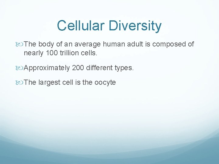 Cellular Diversity The body of an average human adult is composed of nearly 100 Cellular Diversity The body of an average human adult is composed of nearly 100