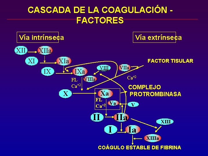 CASCADA DE LA COAGULACIÓN FACTORES Vía intrínseca XII Vía extrínseca XIIa XI FACTOR TISULAR