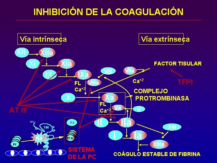 INHIBICIÓN DE LA COAGULACIÓN Vía intrínseca XII Vía extrínseca XIIa XI FACTOR TISULAR IXa