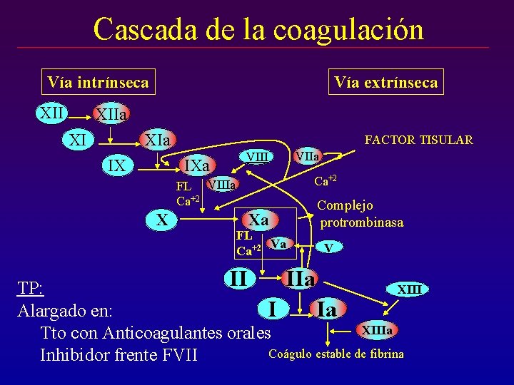 Cascada de la coagulación Vía intrínseca XII Vía extrínseca XIIa XI FACTOR TISULAR IXa