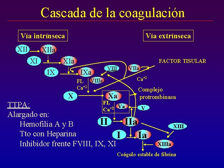 Cascada de la coagulación Vía intrínseca XII Vía extrínseca XIIa XI FACTOR TISULAR IXa