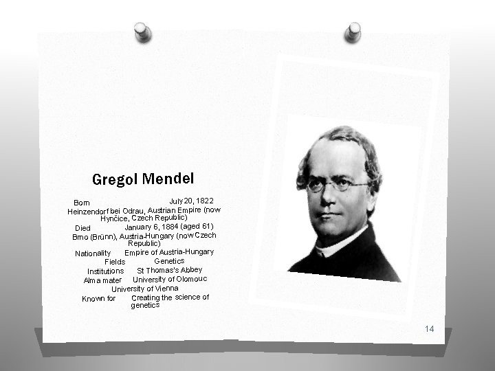 Gregol Mendel July 20, 1822 Born Heinzendorf bei Odrau, Austrian Empire (now Hynčice, Czech