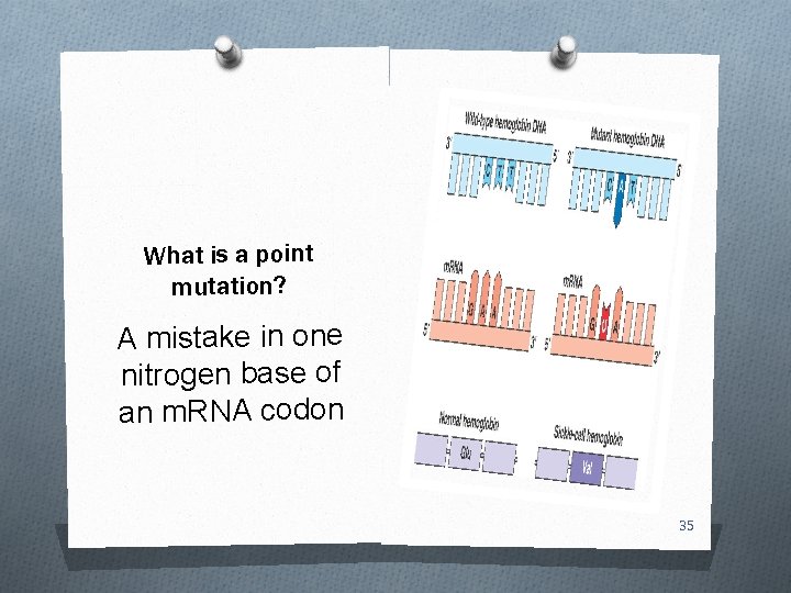 What is a point mutation? A mistake in one nitrogen base of an m.