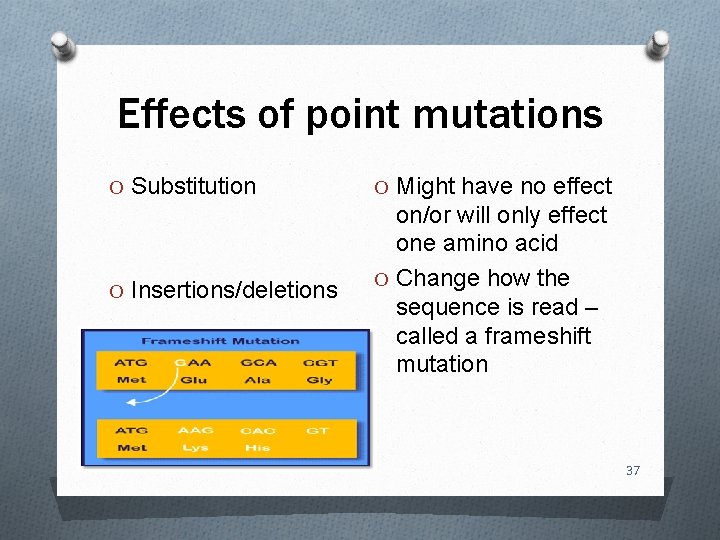 Effects of point mutations O Substitution O Might have no effect O Insertions/deletions on/or