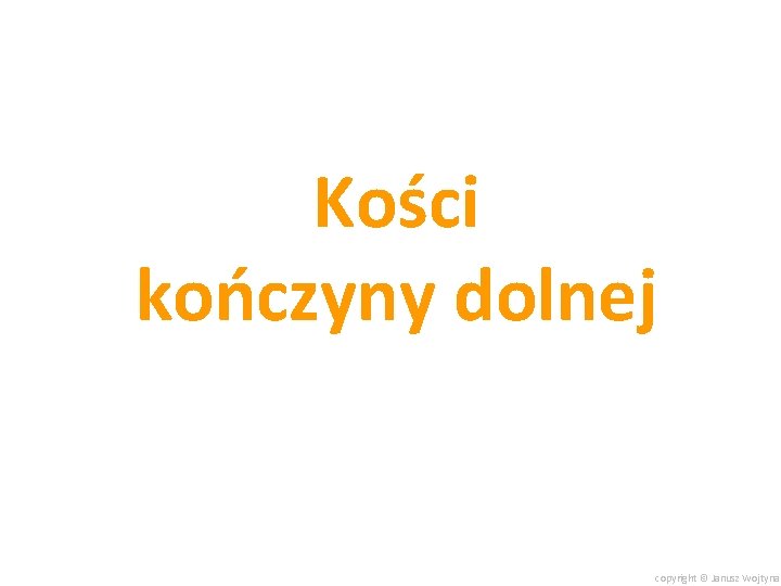 Kości kończyny dolnej copyright © Janusz Wojtyna 