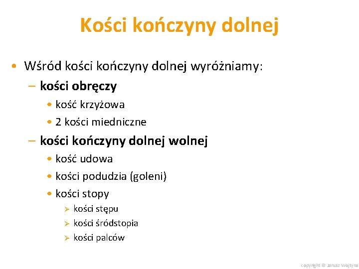 Kości kończyny dolnej • Wśród kości kończyny dolnej wyróżniamy: – kości obręczy • kość