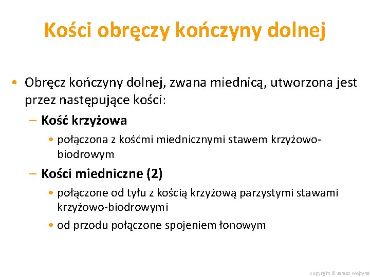 Kości obręczy kończyny dolnej • Obręcz kończyny dolnej, zwana miednicą, utworzona jest przez następujące