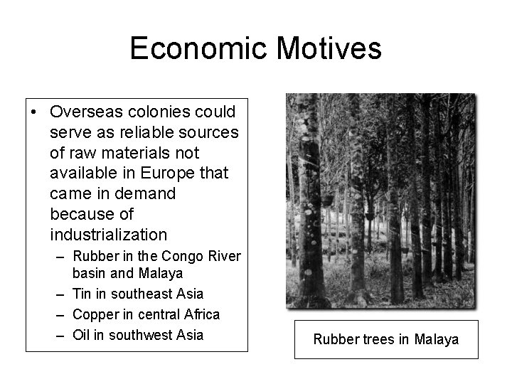 Economic Motives • Overseas colonies could serve as reliable sources of raw materials not