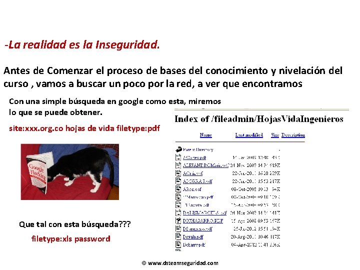 -La realidad es la Inseguridad. Antes de Comenzar el proceso de bases del conocimiento -La realidad es la Inseguridad. Antes de Comenzar el proceso de bases del conocimiento
